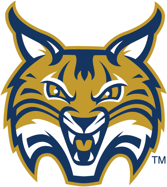Quinnipiac Bobcats iron ons
